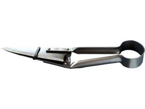 2 Buoi Forbici Per Pecora  Cm. 29