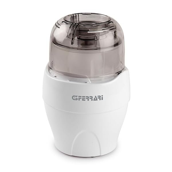 G3 Ferrari G20010 Realmix Tritatutto, 250 W, 0.4 Litri, Acciaio Inox, Bianco/argento