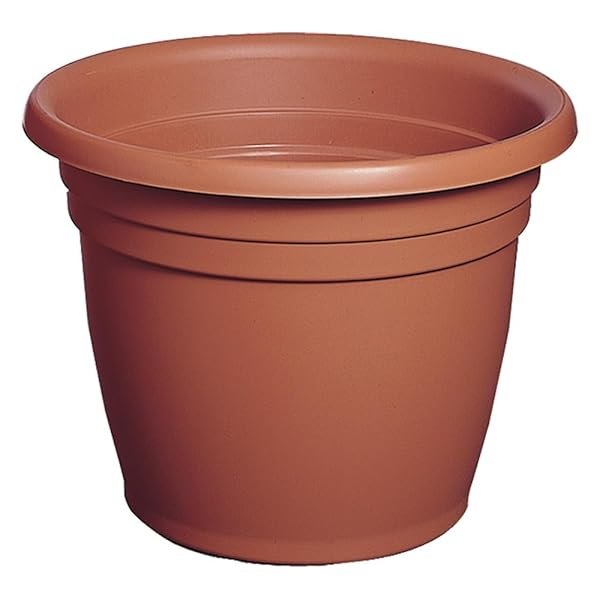 Ics Vaso Tondo