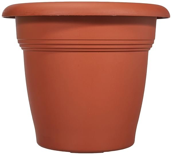 Stefanplast Mediterraneo Vaso, Marrone, 24 cm