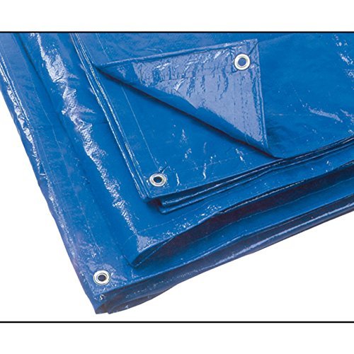 TELI OCCHIELLATI POLIET. 6X10 VERD