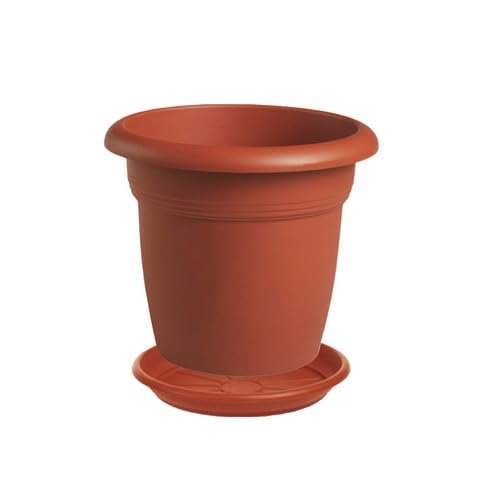 Vaso cm 16 rotondo per fiori e piante + Sottovaso 14 cm, Plastica Color Terracotta - Esterno, Giardino, Balcone + Omaggio Sassi Ornamentali colorati 1kg (16 cm)