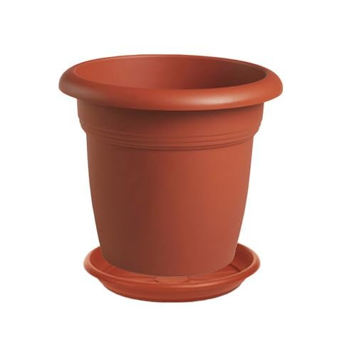 Vaso cm 26 rotondo per fiori e piante + Sottovaso22 cm, Plastica Color Terracotta - Esterno, Giardino, Balcone + Omaggio Sassi Ornamentali Colorati 1kg (26 cm)